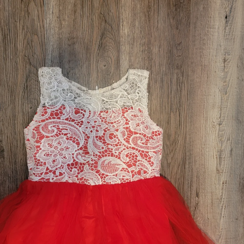 Girls‎ Embroidery Flower Lace Puffy Sleeveless Red Dress Tulle  Size 14/16